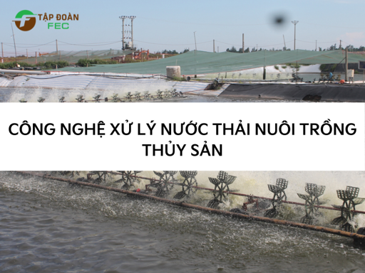 Hiển thị tin tức 3 công nghệ phổ biến xử lý nước thải nuôi trồng thủy sản Hình ảnh tin tức 3 công nghệ phổ biến xử lý nước thải nuôi trồng thủy sản