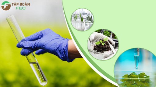 Hiển thị tin tức Quan trắc môi trường nước Hình ảnh tin tức Quan trắc môi trường nước