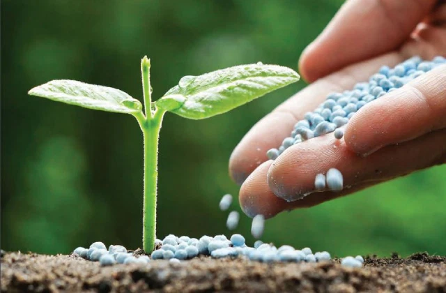 Hình ảnh tin tức Tiêu chuẩn Việt Nam về chất lượng đất - giá trị chỉ thị về hàm lượng Kali tổng số trong đất 