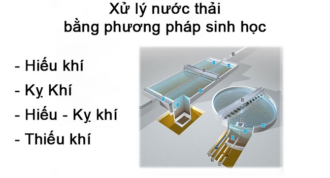 Hình ảnh tin tức Hướng dẫn xử lý nước thải bằng phương pháp sinh học