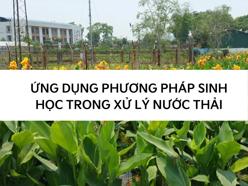 Hình ảnh tin tức Những điều cần biết về xử lý nước thải bằng phương pháp sinh học