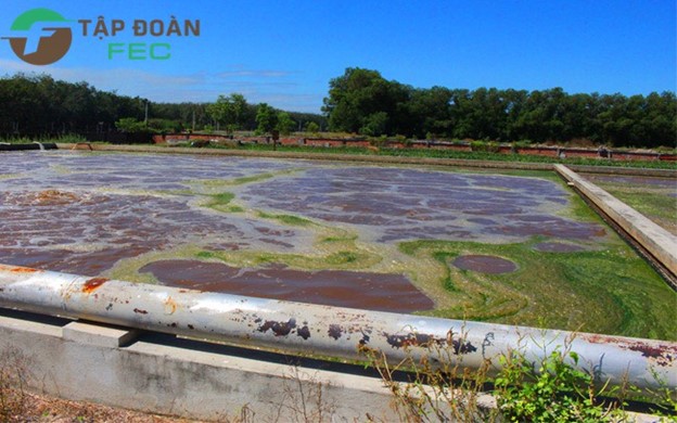 Hình ảnh tin tức Quy trình xử lý nước thải cao su